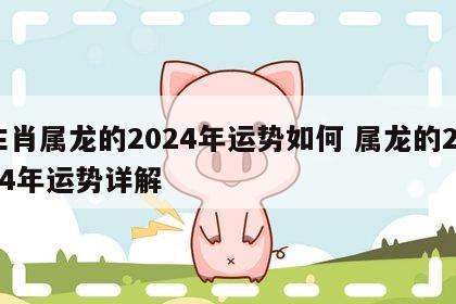 生肖属龙的2024年运势如何 属龙的2024年运势详解