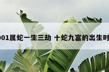 2001属蛇一生三劫 十蛇九富的出生时辰