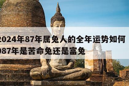 2024年87年属兔人的全年运势如何 1987年是苦命兔还是富兔