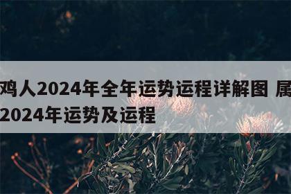 属鸡人2024年全年运势运程详解图 属鸡人2024年运势及运程