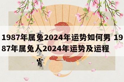 1987年属兔2024年运势如何男 1987年属兔人2024年运势及运程