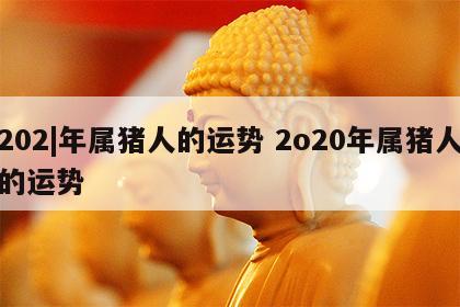 202|年属猪人的运势 2o20年属猪人的运势