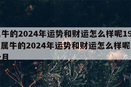 属牛的2024年运势和财运怎么样呢1973 属牛的2024年运势和财运怎么样呢每个月