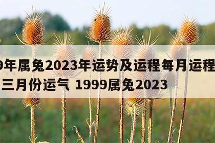 99年属兔2023年运势及运程每月运程一二三月份运气 1999属兔2023