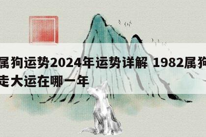 属狗运势2024年运势详解 1982属狗走大运在哪一年