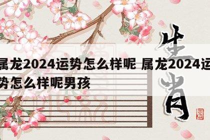 属龙2024运势怎么样呢 属龙2024运势怎么样呢男孩