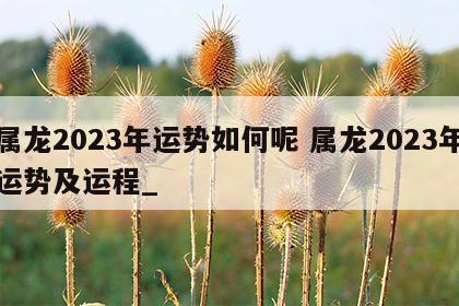 属龙2023年运势如何呢 属龙2023年运势及运程_