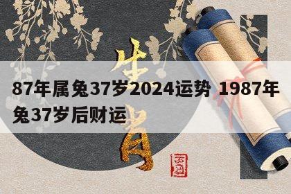 87年属兔37岁2024运势 1987年兔37岁后财运