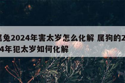 属兔2024年害太岁怎么化解 属狗的2024年犯太岁如何化解