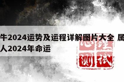属牛2024运势及运程详解图片大全 属牛的人2024年命运