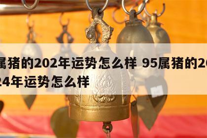 属猪的202年运势怎么样 95属猪的2024年运势怎么样