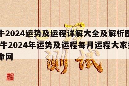 属牛2024运势及运程详解大全及解析图片 属牛2024年运势及运程每月运程大家找算命网