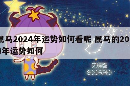 属马2024年运势如何看呢 属马的2024年运势如何