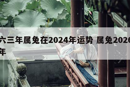 六三年属兔在2024年运势 属兔2026年