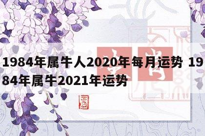 1984年属牛人2020年每月运势 1984年属牛2021年运势