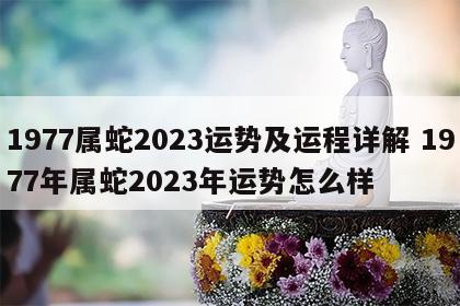 1977属蛇2023运势及运程详解 1977年属蛇2023年运势怎么样