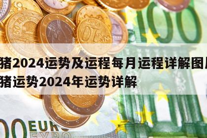 属猪2024运势及运程每月运程详解图片 属猪运势2024年运势详解