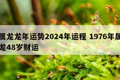 属龙龙年运势2024年运程 1976年属龙48岁财运
