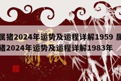 属猪2024年运势及运程详解1959 属猪2024年运势及运程详解1983年