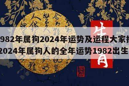 1982年属狗2024年运势及运程大家找 2024年属狗人的全年运势1982出生