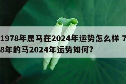 1978年属马在2024年运势怎么样 78年的马2024年运势如何?
