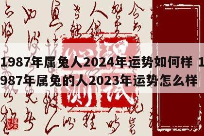 1987年属兔人2024年运势如何样 1987年属兔的人2023年运势怎么样
