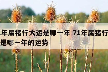 71年属猪行大运是哪一年 71年属猪行大运是哪一年的运势
