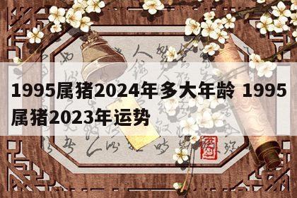 1995属猪2024年多大年龄 1995属猪2023年运势