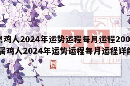 属鸡人2024年运势运程每月运程2005 属鸡人2024年运势运程每月运程详解