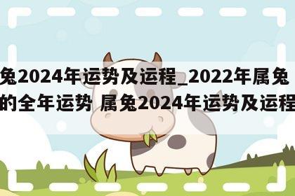 属兔2024年运势及运程_2022年属兔人的全年运势 属兔2024年运势及运程详解