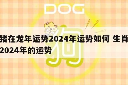 属猪在龙年运势2024年运势如何 生肖猪在2024年的运势