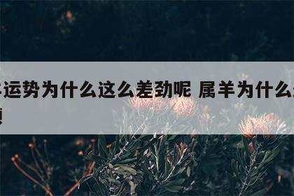 属羊运势为什么这么差劲呢 属羊为什么最近不顺