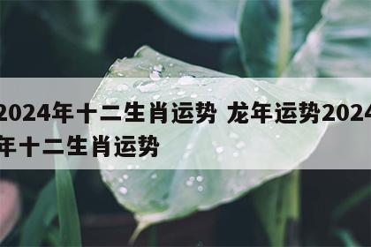 2024年十二生肖运势 龙年运势2024年十二生肖运势