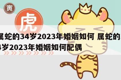 属蛇的34岁2023年婚姻如何 属蛇的34岁2023年婚姻如何配偶