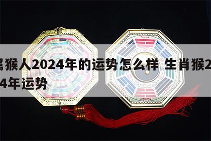 属猴人2024年的运势怎么样 生肖猴2024年运势