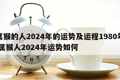 属猴的人2024年的运势及运程1980年 属猴人2024年运势如何