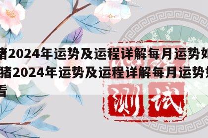 属猪2024年运势及运程详解每月运势如何 属猪2024年运势及运程详解每月运势如何看