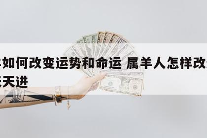 属羊如何改变运势和命运 属羊人怎样改运财源天天进