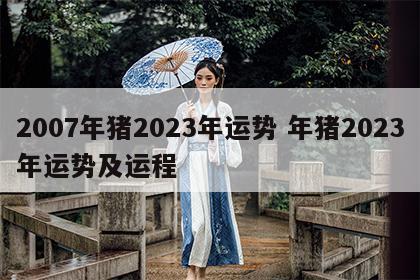 2007年猪2023年运势 年猪2023年运势及运程