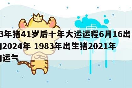 83年猪41岁后十年大运运程6月16出生的2024年 1983年出生猪2021年的运气