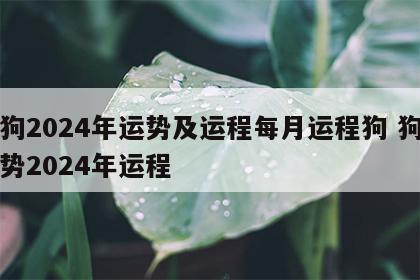 属狗2024年运势及运程每月运程狗 狗的运势2024年运程
