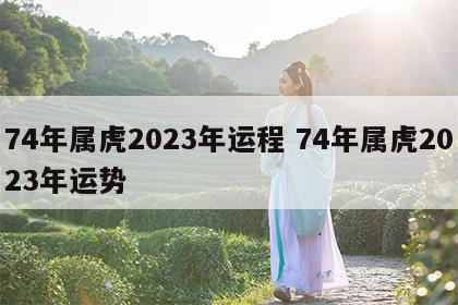 74年属虎2023年运程 74年属虎2023年运势