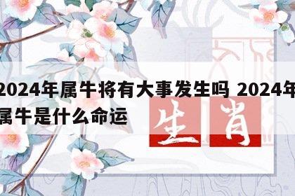 2024年属牛将有大事发生吗 2024年属牛是什么命运