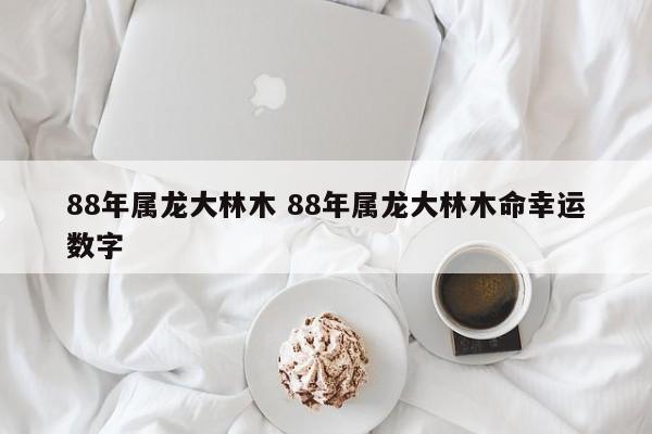 88年属龙大林木 88年属龙大林木命幸运数字