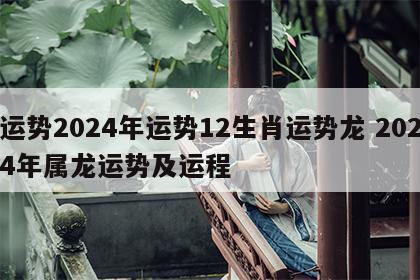 运势2024年运势12生肖运势龙 2024年属龙运势及运程