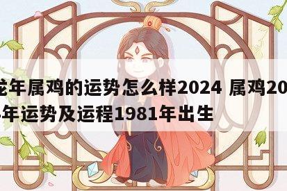 龙年属鸡的运势怎么样2024 属鸡2024年运势及运程1981年出生