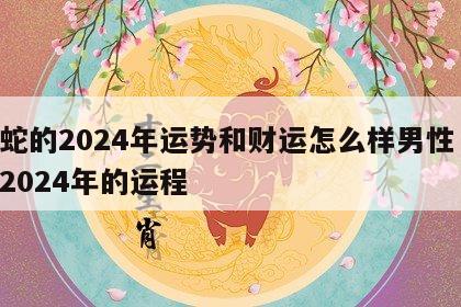 属蛇的2024年运势和财运怎么样男性 属蛇2024年的运程