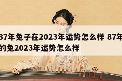 87年兔子在2023年运势怎么样 87年的兔2023年运势怎么样