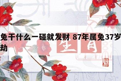 属兔干什么一碰就发财 87年属兔37岁有一劫
