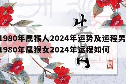 1980年属猴人2024年运势及运程男 1980年属猴女2024年运程如何